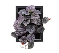 VerdantCharm Uva Artificiale con Cornice 19x26cm Dipinti decorativi per ufficio e soggiorno: colorati, non richiedono manutenzione e possono essere utilizzati come decorazioni per la scrivania