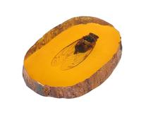 VERDANVERSE Ciondolo Ambra Unico Insetto, Ornamento Ambroid Giallo per Amici e Famiglia, Decorazione Elegante e Regalo per Collezione e Amicizia