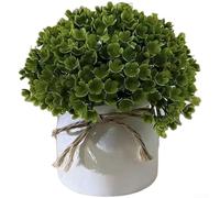 Verde artificiale in plastica robusta, per interni, con tonalità verde sottile e variazione di forma naturale (F)