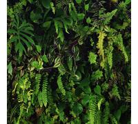 Verde Blu Uovo Anatra Parati - Geometrico Floreale Animali Metallico & Altro