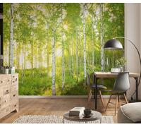 Verde Foto Parati 2.5x3.7m Verde Alberi Giorno Soleggiato Murale Bianco Pioppi