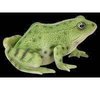Verde Statua Decorativa Rana - Giardino & Stagno - Figura Animale - da - 15cm