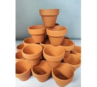 VERDE VIVO 30 Mini Vasetti per Semi da Germinazione in Terra Cotta, con Foro di Scarico, 30 Mini Vasi (5)