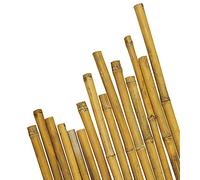 VERDELOOK Canna in Bamboo thailandese altezza 180 cm, colore naturale, sostegno piante, diametro 24/26 mm
