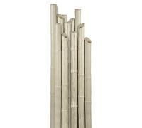 VERDELOOK Canna in plastica reggipiante altezza 210 cm, diametro 27 mm, beige, per sorreggere le piante