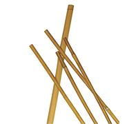 VERDELOOK Cannetta in bamboo naturale, altezza 150 cm, diametro 10/12 mm, sostegno piante giardino