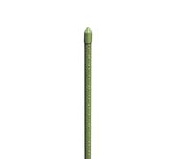 VERDELOOK Cannetta in bamboo plastificato altezza 60cm diametro 8/10mm verde
