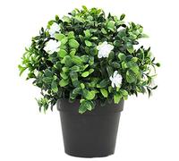 VERDELOOK Piantina artificiale decorativa Gelsomino con foglie in PVC, 9.5x9.5 H20 cm, verde con fiori bianchi, piante finte