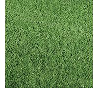 VERDELOOK Prato Verde Artificiale in Polipropilene, 2x3 Metri