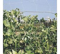 VERDELOOK Rete per Rampicanti Rampy Mini Rotolo, 2x100 m, per Coltivazione Ortaggi, Rete per Orto e Recinzioni