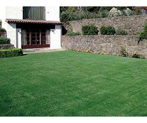 VERDELOOK Sempreverde® Erba Artificiale, 2x5 m, arredo Giardino Decorazioni