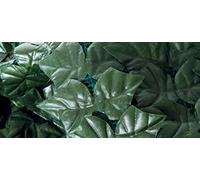 ARELLA SEMPREVERDE LAURO 1,50X3,00 M