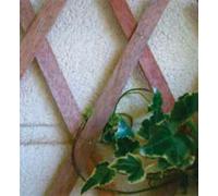 VERDELOOK Traliccio estensibile legno naturale 100x300cm decorazioni terrazza