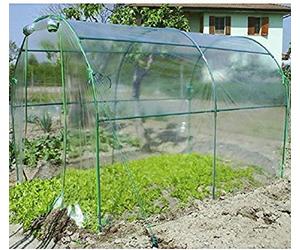 Verdemax 2641 Telo Ricambio per Serra Tunnel Premium