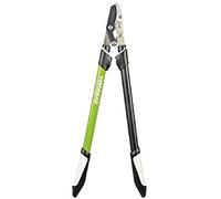 Verdemax 4178 72 x 100 cm - Troncarami con Manico telescopico