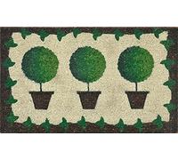 Verdemax 5463 - Zerbino rettangolare con piante in vaso, 45 x 75 cm