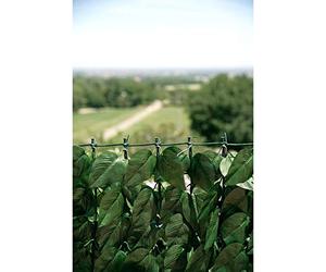 Verdemax 5593 1 x 3 m Verdecor siepe con Foglie Like Laurel