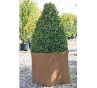 Verdemax 8969 - Panno di Iuta, 1 m x 5 m, 200 g/SM