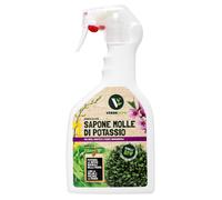 Verdevivo Sapone Molle Potassico per Piante - 750Ml. Sapone Molle Di Potassio Na