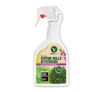 VerdeVivo Sapone Molle di Potassio 100% Naturale, Spray Pronto all'uso per Orto, Frutta e piante ornamentali