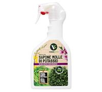 VerdeVivo Sapone Molle Potassico per Piante - 750ml. Sapone Molle di Potassio Naturale - Spray Pronto all'Uso per Orto, Frutta e Piante Ornamentali che Favorisce la Pulizia dalle Infestazioni.