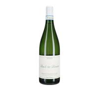 Verdicchio dei Castelli di Jesi 'Back to Basics' Santa Barbara 2024