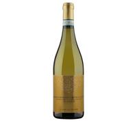 Verdicchio dei Castelli di Jesi Classico DOC 2024 Il Conte Villa Prandone