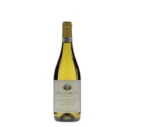 Verdicchio Riserva Castelli di Jesi Classico DOCG Villa Bucci 2020 - Bucci 0.75 lt