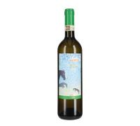 Verdicchio dei Castelli di Jesi Classico Riserva 'Rincrocca' La Staffa 2023