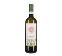 Verdicchio dei Castelli di Jesi Classico Superiore 'Il Coroncino' Coroncino 2024