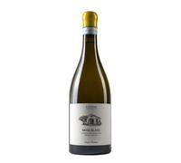Verdicchio dei Castelli di Jesi Classico Superiore 'Moss Blanc' Santa Barbara 2022
