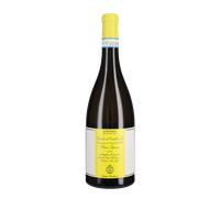 Verdicchio dei Castelli di Jesi Classico Superiore 'Stefano Antonucci' Santa Barbara 2024