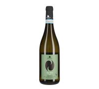 Verdicchio dei Castelli di Jesi Classico Superiore 'Tre Ripe Pievalta 2025