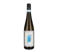 Verdicchio dei Castelli di Jesi 'Pignocco' Santa Barbara 2025