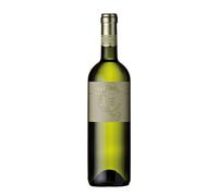 Verdicchio di Matelica Collestefano 2024