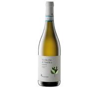 Verdicchio di Matelica DOC Valbona Belisario 2025, 0,75 ℓ