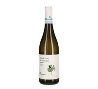 Verdicchio di Matelica 'Valbona' Belisario 2024