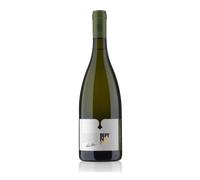 Verdiso Tranquillo Colli Trevigiani IGT | Bepin de Eto