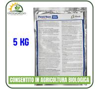 VERDRAM HIBIO POWER RAM FUNGICIDA RAME OSSICLORURO ALBAUGH 1KG BIOLOGICO