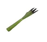 Verdure di colore naturale della decorazione artificiale del modello dell'alimento del Faux Celtic Handmade per l'installazione del ristorante