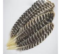 Vere piume d'aquila naturali 8-16quot; / 20-40 cm Piume di uccelli d'aquila per l'artigianato Decorazione di piume di nozze per la casa Carnaval -20-25 cm 8-10 pollici, 10 pezzi