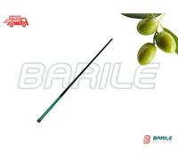 Verga - Canna - Asta Batti Olive / Mandorle in Fibra 4 Metri
