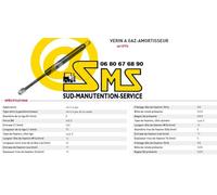 VERIN A GAS DI TIMONE MIC G12 G 12 PEZZI CARRELLO ELEVATORE