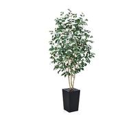 VeriNatural Ficus Artificiale 180 cm Pianta Finta da Interno - Tronco in Legno Vero, Foglie in Seta, Vaso Conico Nero con Ciottoli - Per Decorazioni di Interni ed Esterni, Casa Ufficio, VN129
