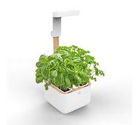 Veritable Véritable Botaneo Zimmergarten