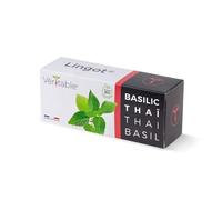 Veritable - Lingots - Basilico Thailandese Bio VERITABLE