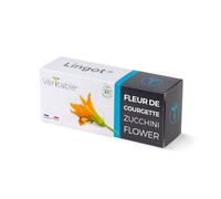 RICARICA SEMI INTEGRATI VERITABLE LINGOT Fiore di zucca Bio