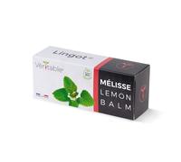 Véritable Lingot® Melissa BIO - Compatibile con Orti Interni Exky® - Ricarica pronta all'Uso - Substrato con Semi Integrati