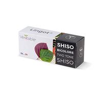 Véritable Lingot® Shiso Bicolore - Compatibile con Orti Interni Exky® - Ricarica pronta all'Uso - Substrato con Semi Integrati
