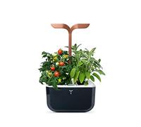 Veritable Véritable Exky SMART Indoor-Garten, Kupfer